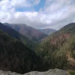 Domcek Michal