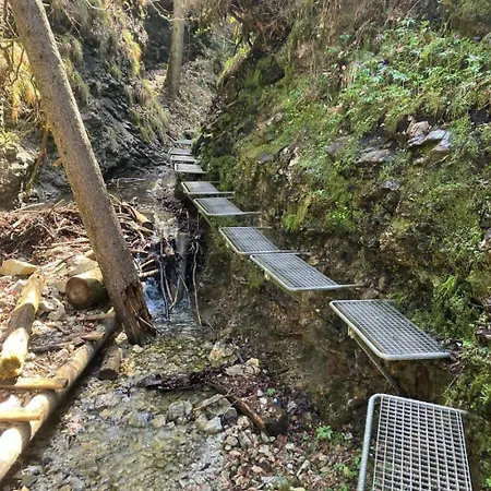 Apartment Domcek Michal